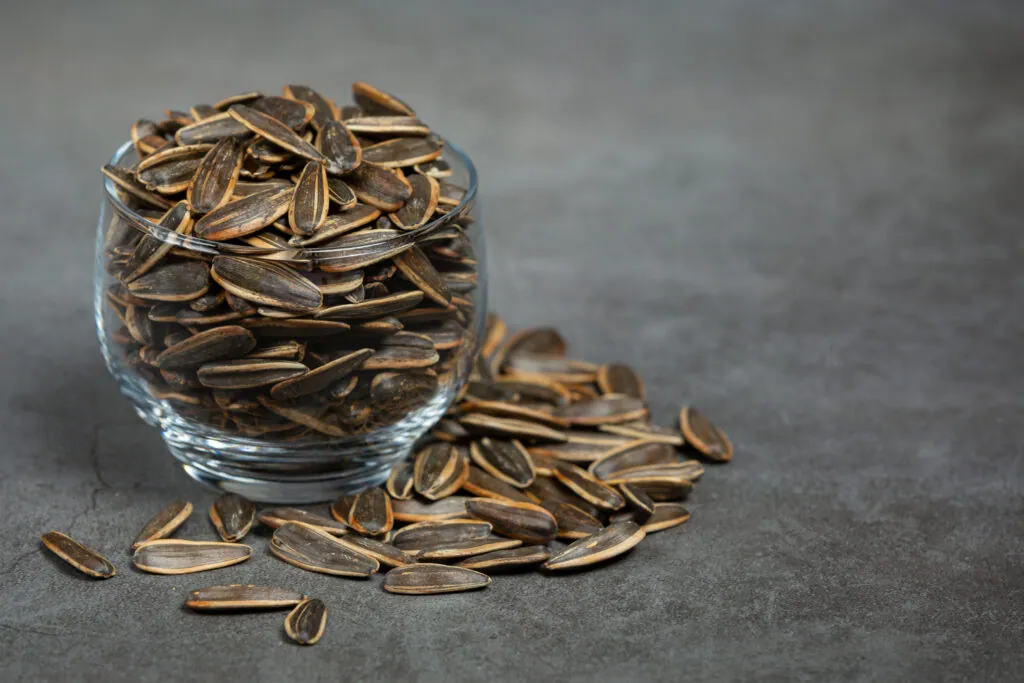 Dill Seeds (Suva)