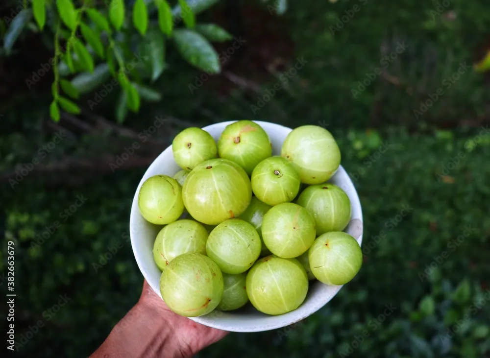 Amla