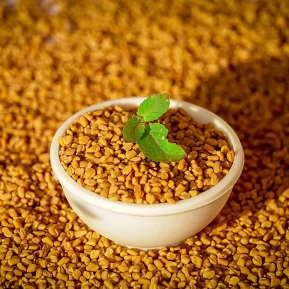 Fenugreek (Methi)