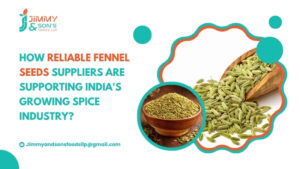 Premium fennel seeds for food and spice businesses