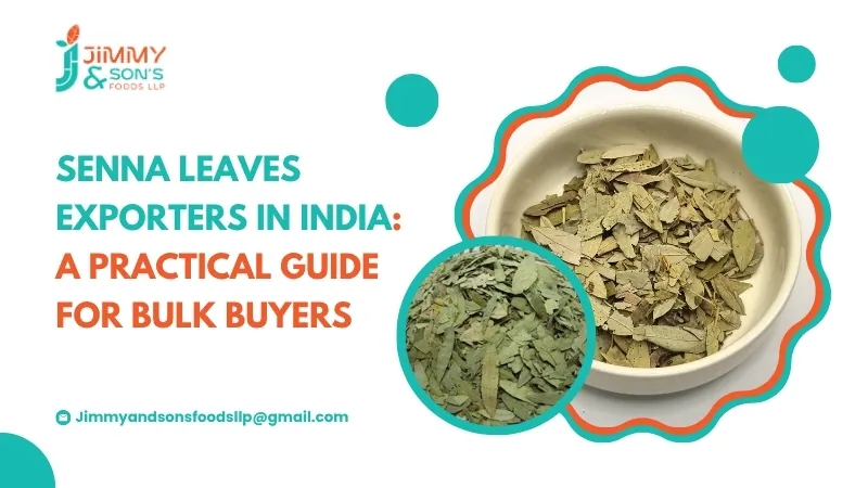 Senna Leaves Exporters in India: A Practical Guide for Bulk Buyers
